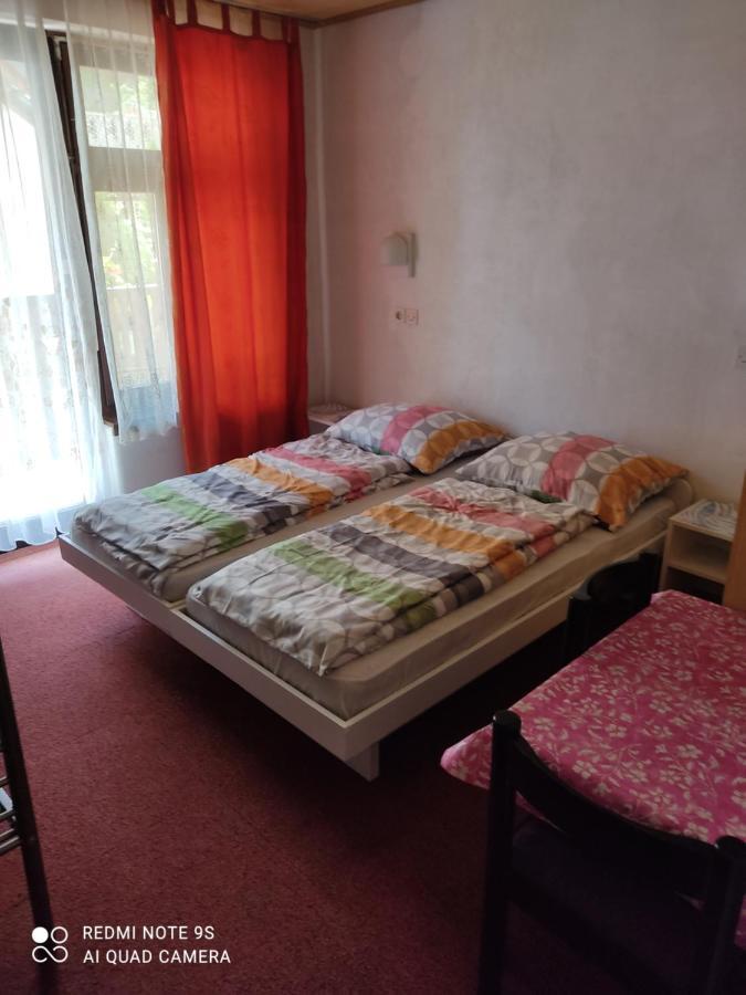 Sobe Grajska Apartment Bled Exterior foto